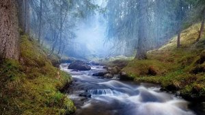 Мендельсон Ф. Violin Concerto. Piano Concerto / Mendelssohn F.