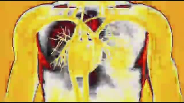 Матрица Гаряева. Сердце, вены, сосуды смотреть онлайн