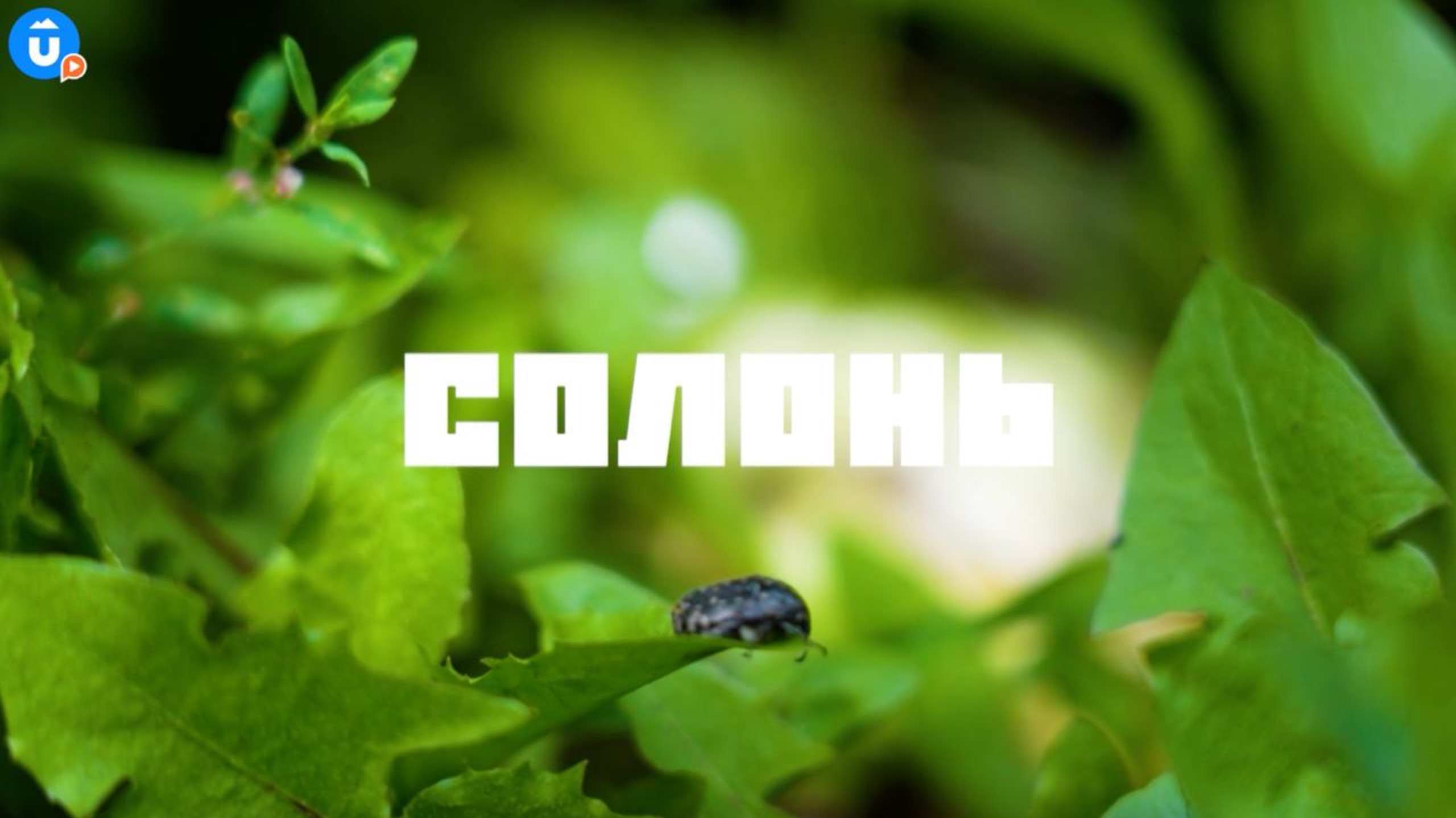 Снять стресс на ферме: где заземлиться рядом с Екатеринбургом и вырастить свои овощи смотреть онлайн