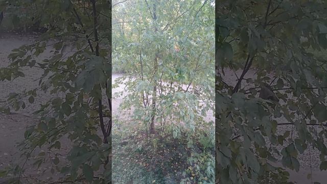 Рожки и подлива смотреть онлайн