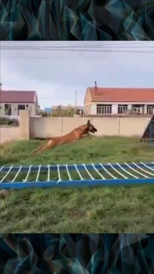Прыжок