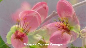 Музыка Для Души ПУТЕШЕСТВИЕ ВЕСНЫ Музыка Сергей Грищук  #МУЗЫКА #КРАСИВАЯМУЗЫКА
