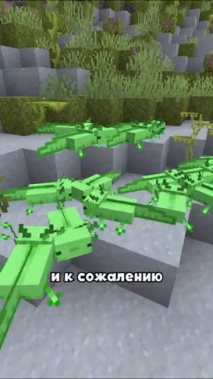 5 секретов аксолотля [БИСКАС ПЕРЕЗАЛИВ]