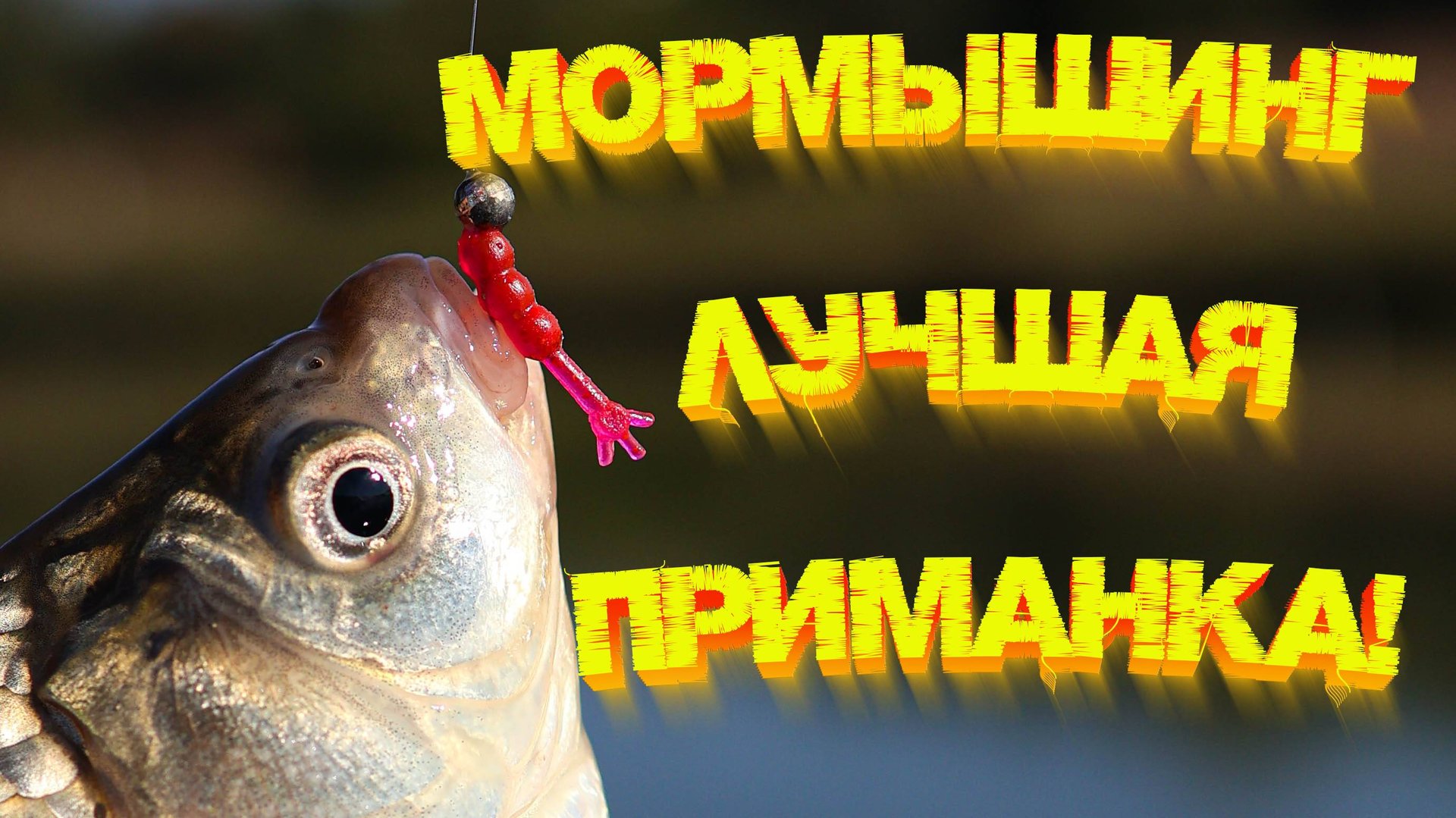 Мормышинг!!! Лучшая приманка на карася 👍 Ловит всегда и везде 💪