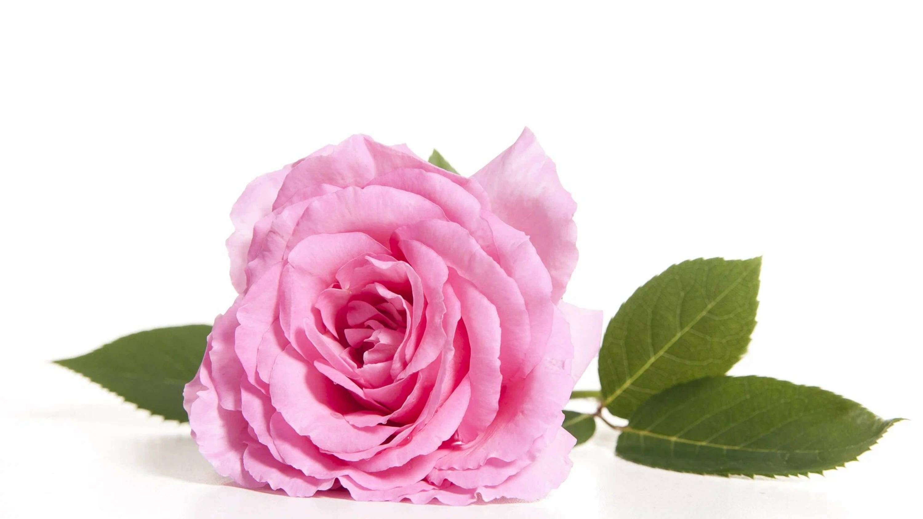 14 сентября 2025 г. Воскресная служба на русском языке смотреть онлайн