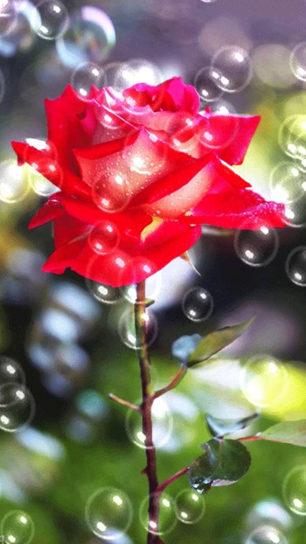 Красивые слова ... смотреть онлайн