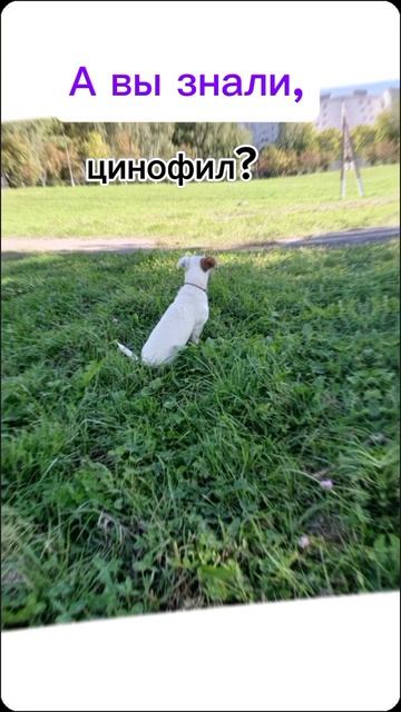 А вы знали?