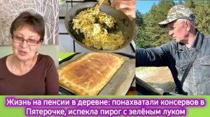Жизнь на пенсии в деревне: понахватали консервов в Пятёрочке, испекла пирог с зелёным луком