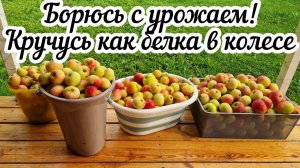 Внезапно похолодало🥶 Заготовки на зиму🥫 Подарок от подписчицы🎁 Новые покупки😊