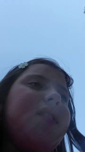тао смотреть онлайн
