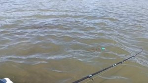 Беляевские карьеры. Ловим хищника на спиннинг. 12-13.09. 25.