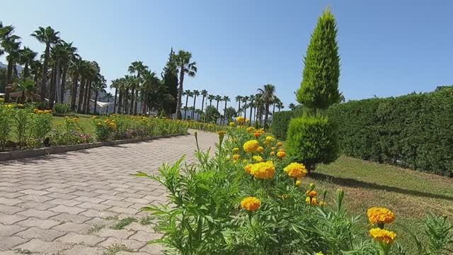 Fortezza Beach Resort. Июнь 2024