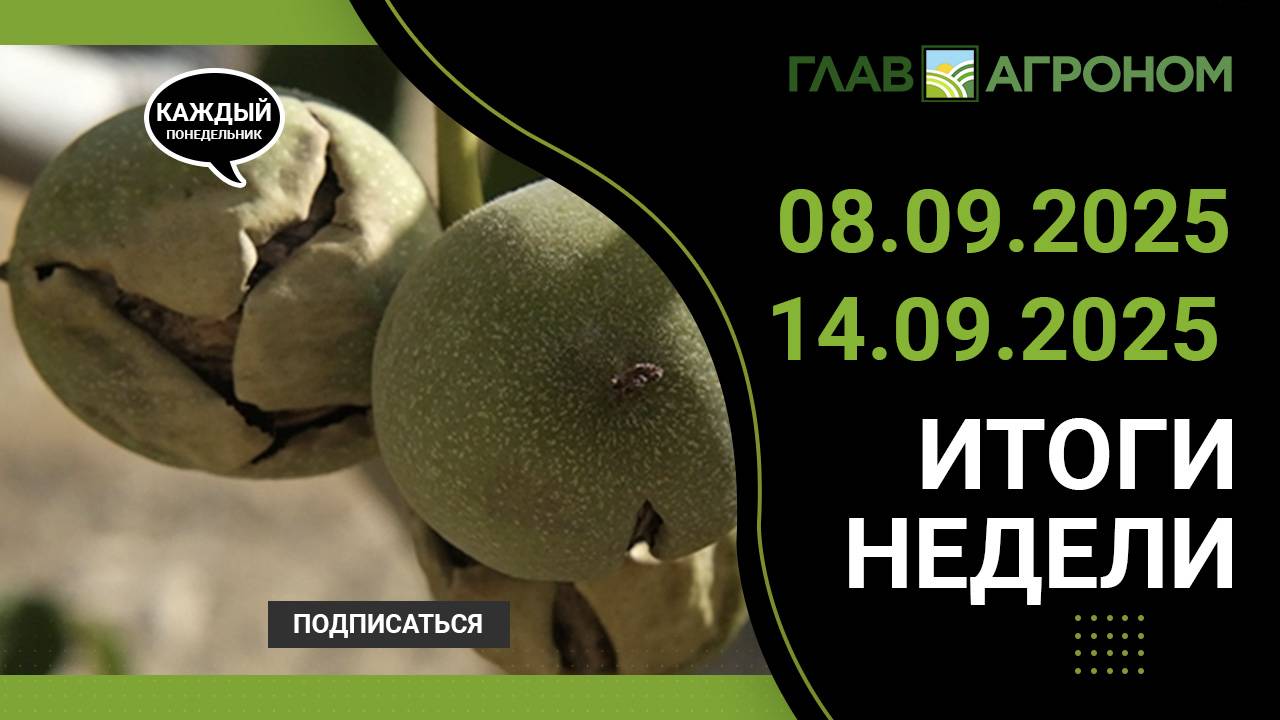 Итоги недели с ГлавАгроном. 08.09.2025 - 14.09.2025