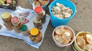 Жизнь в деревне 🏡//Собрала РЯДОВКИ // торговли нет 🤷//