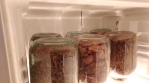 ФЕРМЕНТАТОР