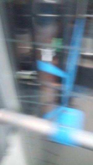 пожалуйста не подписвоитес на дарину