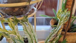 Разбираюсь с новинками