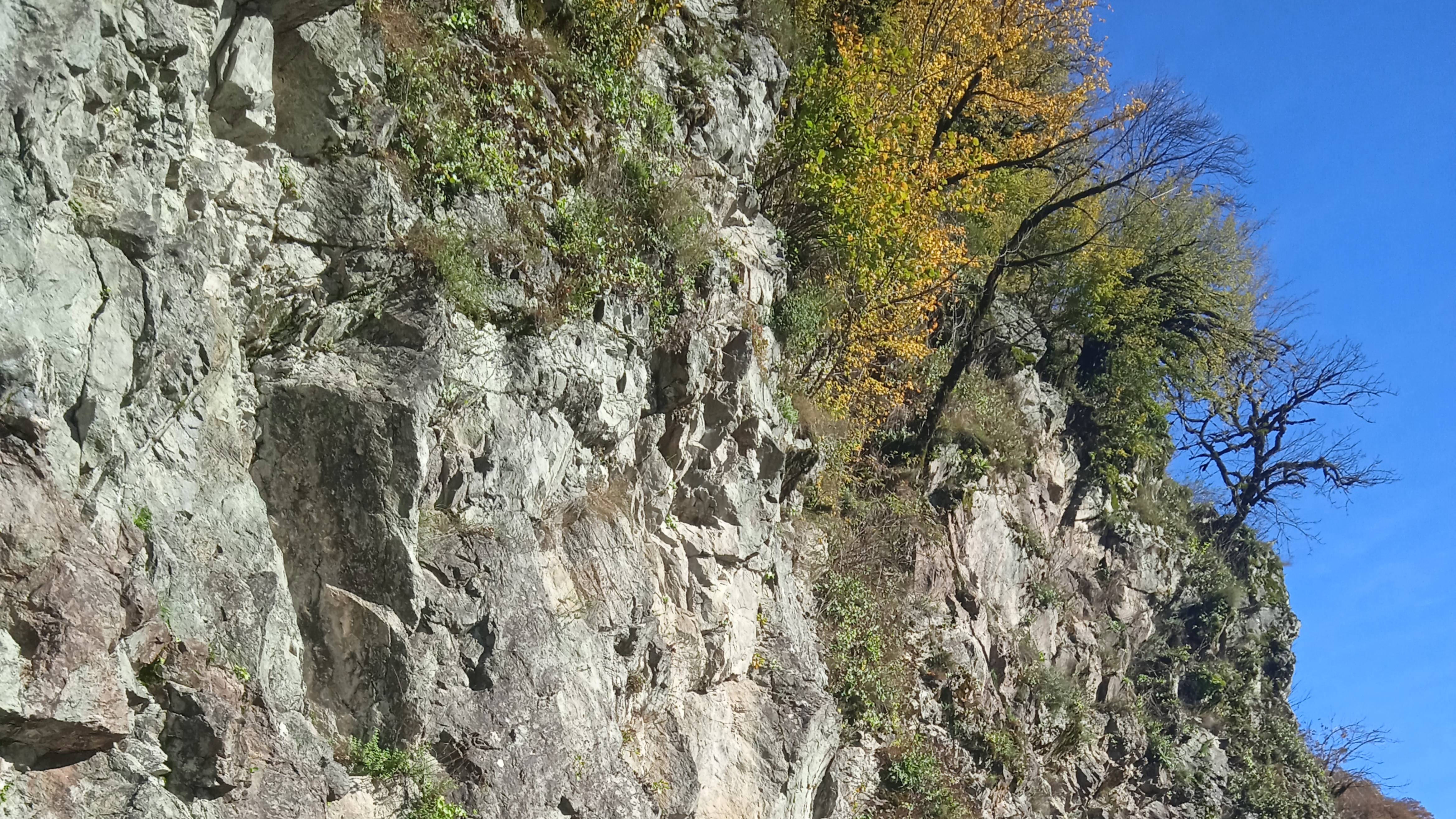 Загадочная находка