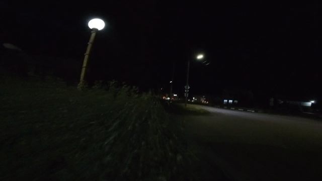 Вишнёвый Сад кусты ночь