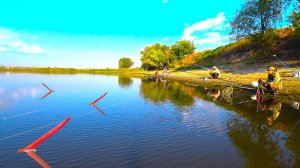 РЕКА КИПИТ ОТ РЫБЫ!! КАРАСЬ, САЗАН, РЫБАЛКА НА ПОПЛАВОК