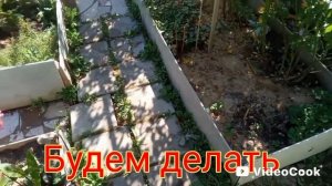 Дачи на болоте