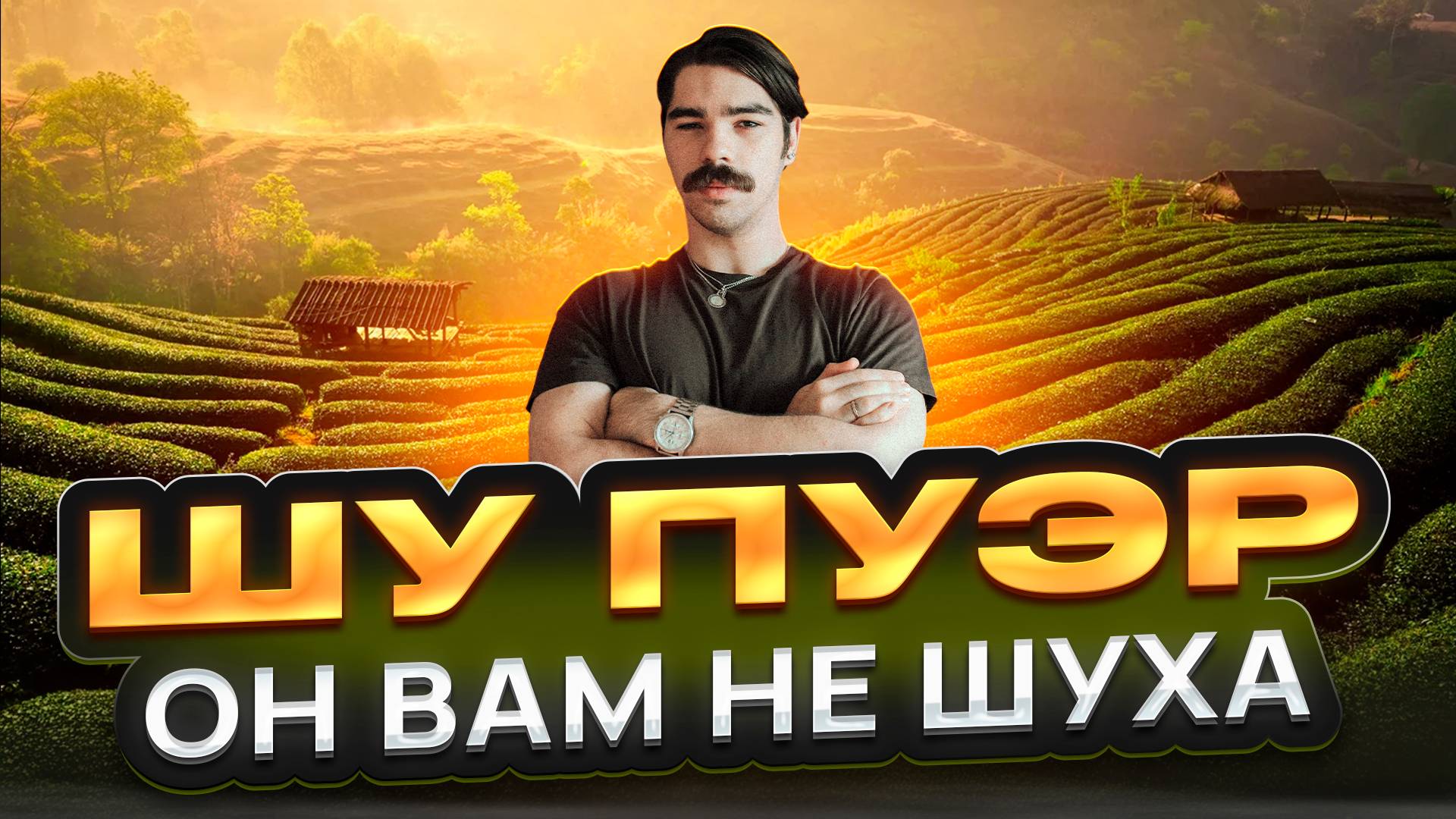 Самый бодрящий чай? Что такое шу пуэр