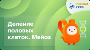 Биология 9 класс. Деление половых клеток. Мейоз