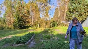 Хроники дачной жизни.
Чем занимались.
Московская область.