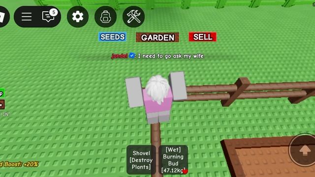 опять обнова в Grow A Garden