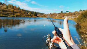 Осенний хариус на мух