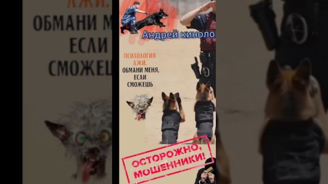 И снова здорова. смотреть онлайн