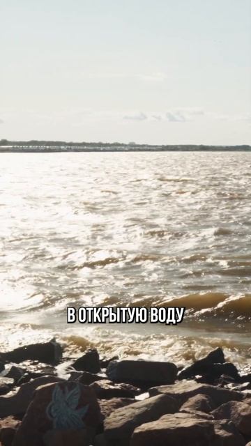 Обзор района "Огни Залива" в Санкт-Петербурге | Про Питер Новостройки смотреть онлайн