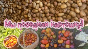 Про урожай картошки,кучу перцев,и конечно помидоры.☺️