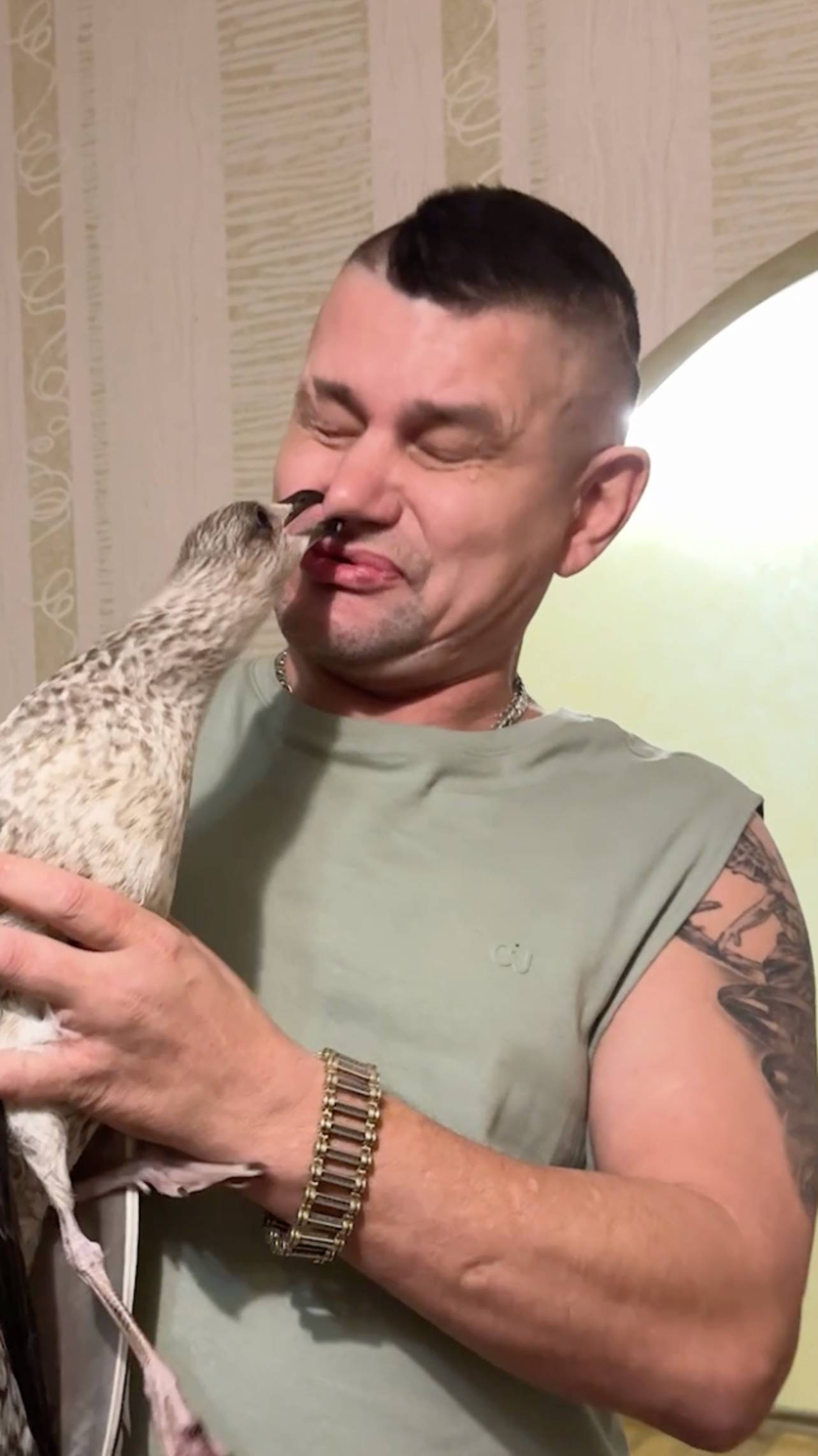 Копец я АЙБОЛИТ спасаем чайку смотреть онлайн