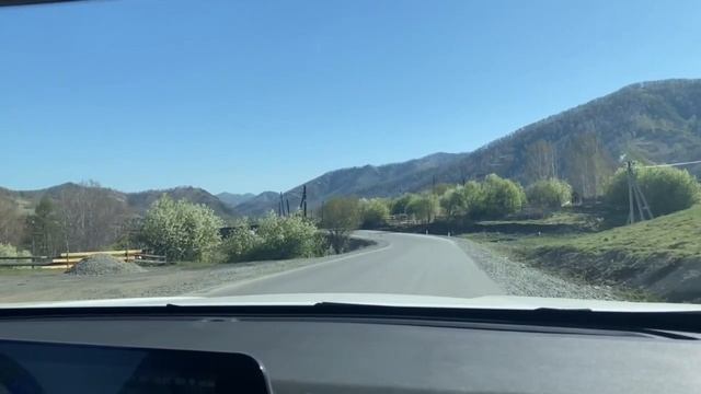 едем смотреть маральник на Чуйский тракт в Горный Алтай, май 2025