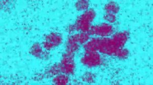 Klasky Csupo in Kormulator V1939 and V1956 (RANDOM REUPLOAD)