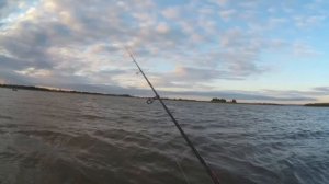 ПОКАТАЛИСЬ ПО ВОЛНАМ НА ДОНУ 🌊🌊🌊🌊🌊