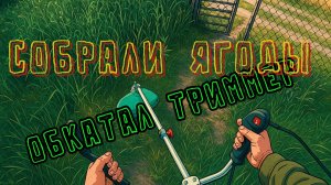 Приехали на дачу проверить триммер и собрать ягоды.