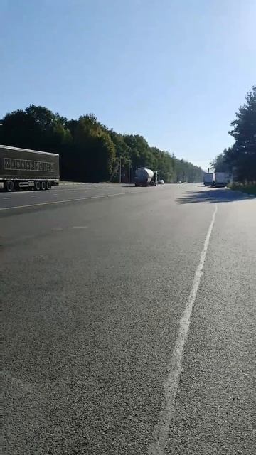 petal_20250914_064132.mp4