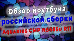 Обзор ноутбука российской сборки Aquarius CMP NS685u R11