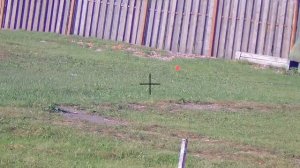 Стрельба зайца