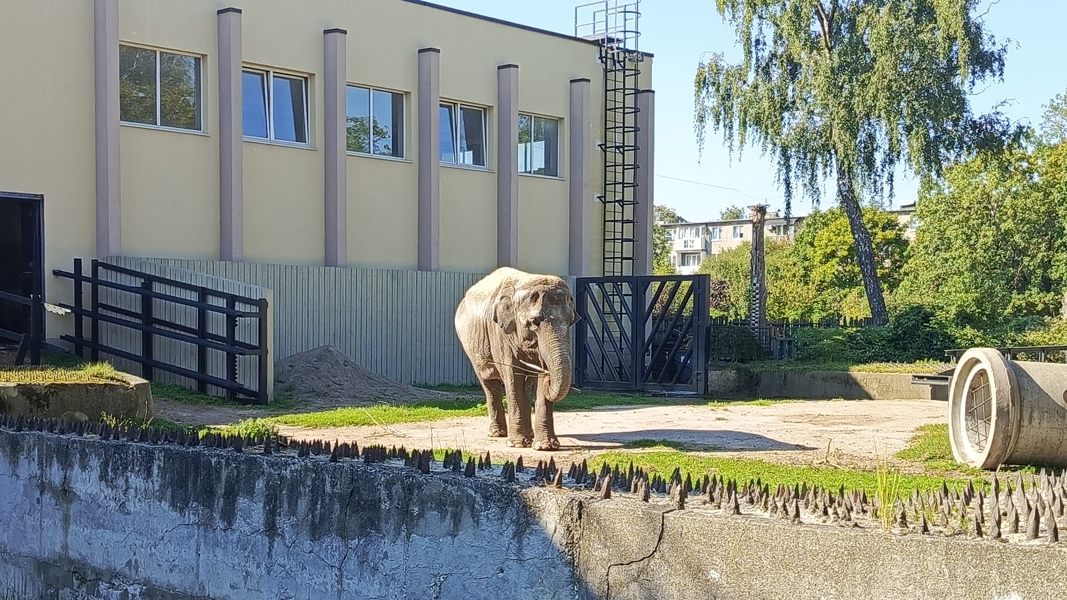 Калининградский зоопарк 2025 год. смотреть онлайн