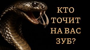 🐍КТО ТОЧИТ НА ВАС ЗУБ? ОНЛАЙН-РАСКЛАД🐍