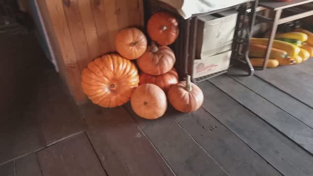 ДВА ДНЯ моей ЖИЗНИ смотреть онлайн