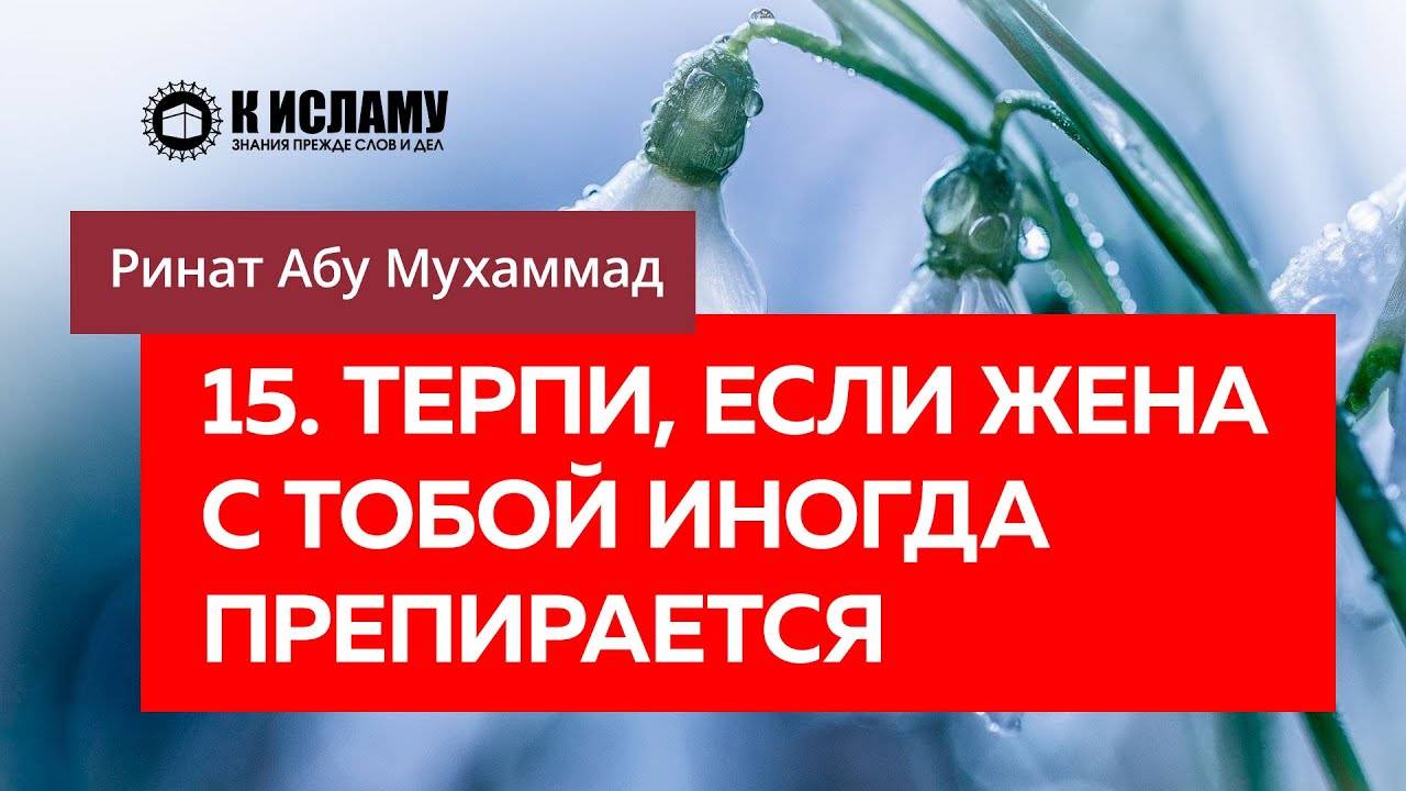 15/40) Терпи, если жена с тобой иногда препирается | Ринат Абу Мухаммад смотреть онлайн