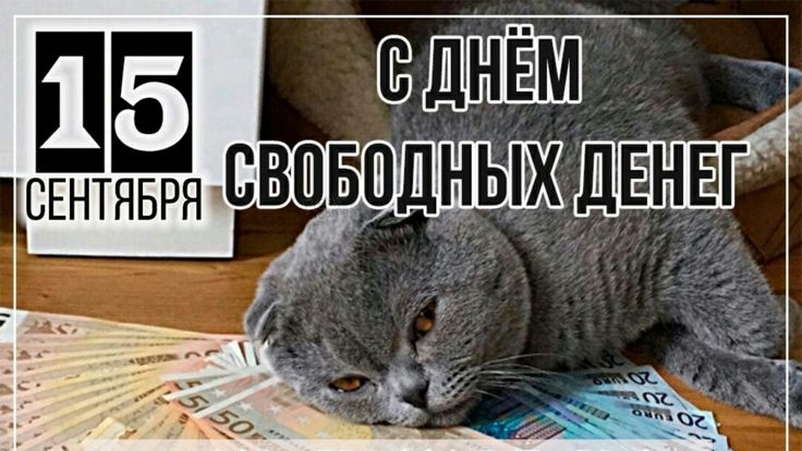 15.09.25 - День свободных денег смотреть онлайн