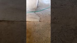 24 часа во дворе