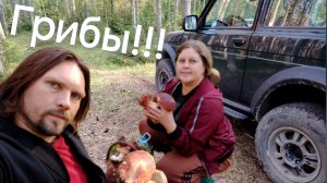 На Ниве Бронто за ГРИБАМИ!