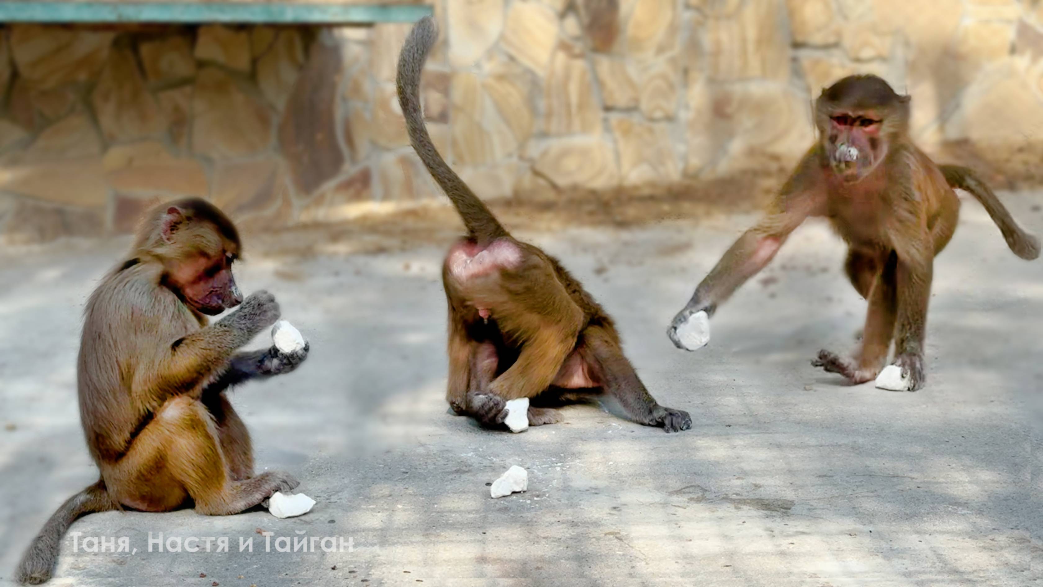 Степа НЕ ХУДОЖНИК! Степа строитель! Есть или не есть! Подростки так и не поняли, что делать с мелом! смотреть онлайн