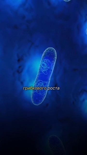 Вздутый живот — сигнал тревоги смотреть онлайн